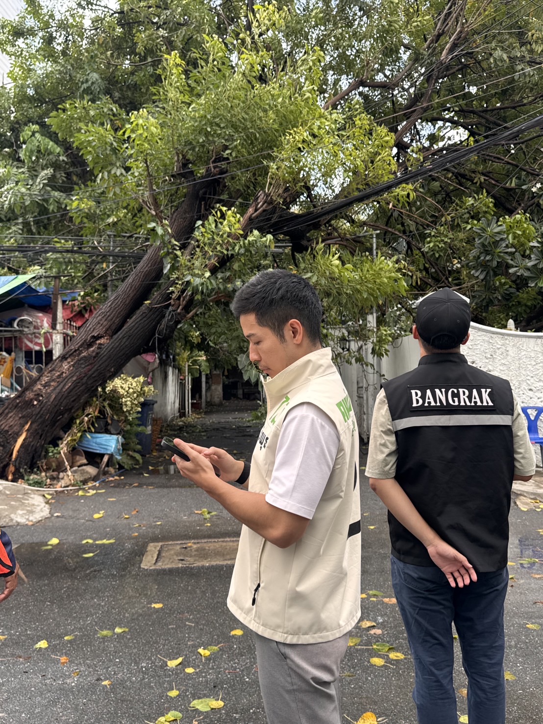 ติดตามเหตุ “ต้นไม้ล้ม” ซอยเจริญกรุง 36 🌳